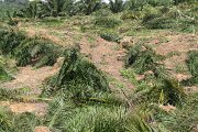 IMG_0201