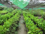IMG_0231