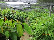 IMG_0245