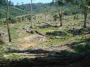DSC04901