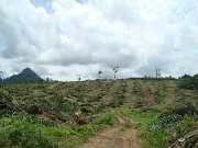 DSC05214