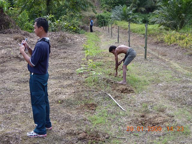 DSCN0317.JPG