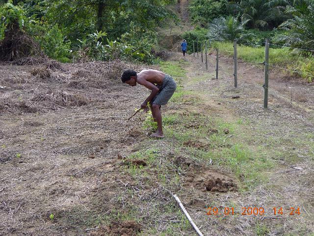 DSCN0319.JPG