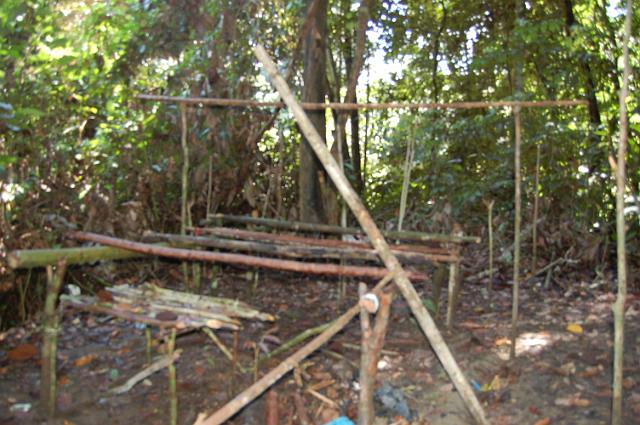 DSC_0081.JPG