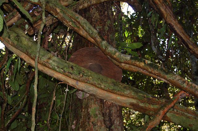 DSC_0083.JPG
