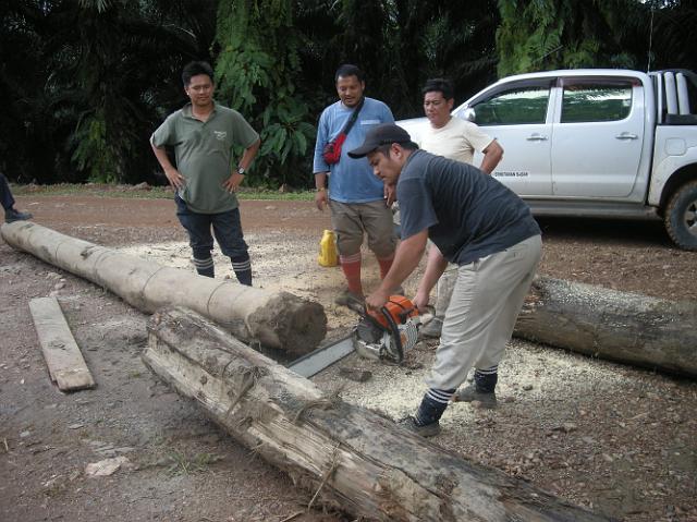 DSCN2440.JPG